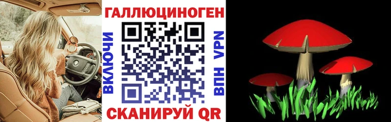где купить наркоту  Вышний Волочёк  Псилоцибиновые грибы GOLDEN TEACHER 